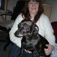 Blanding af racer Mille<3