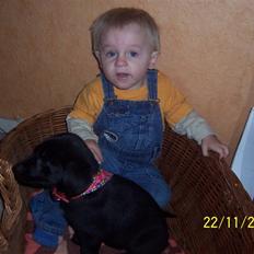 Blanding af racer Schilla