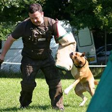 Blanding af racer Cookie RIP