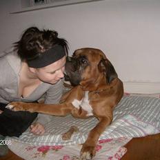 Boxer czantoz R.I.P ;( 