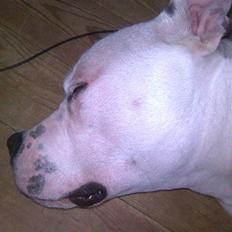 Blanding af racer Armani <3