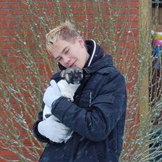 Blanding af racer Trixie <3 SOLGT :')