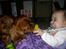 Cavalier king charles spaniel Cavalots Elvis - Det er ikke altid nemt at enes.