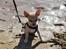Chihuahua Marley - Marley som ca 9 uger gammel og sidder med rumpen i sandet