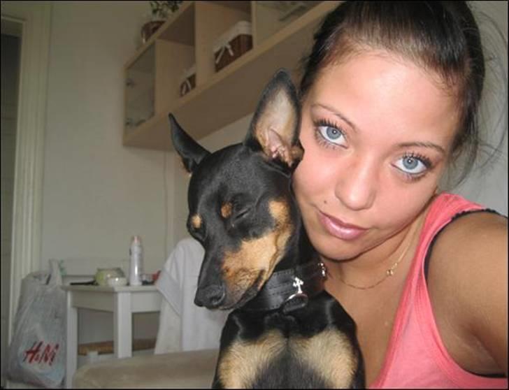 Dvaergpinscher King - Altid din voffe mooar ..:p billede 1