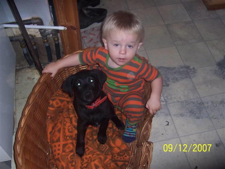 Blanding af racer Schilla - Dejligt at mathias passer på mig :D billede 16