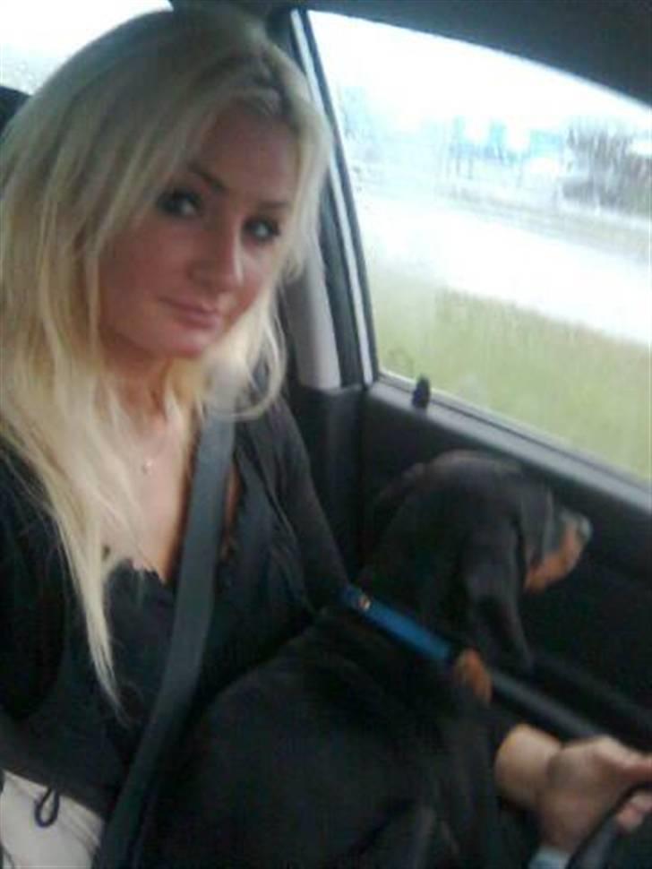 Dobermann Armageddon Star's Eick  billede 11