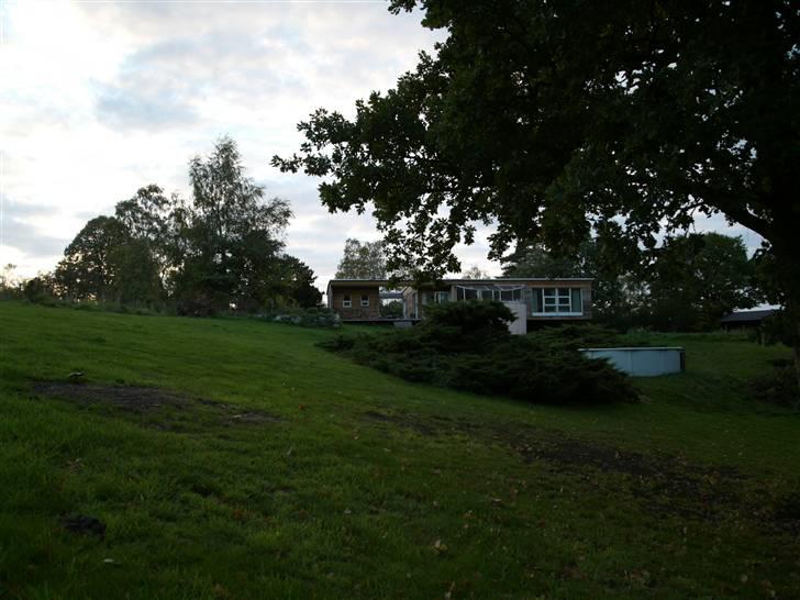 Pharaohound Honda - Hondas legeplads billede 17