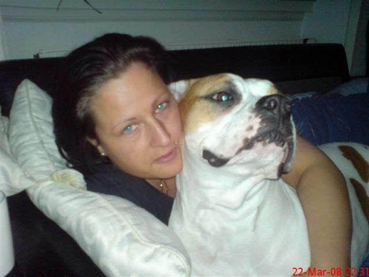 Amerikansk bulldog holmegaards Bull red hot nugga - putter.....08 billede 10