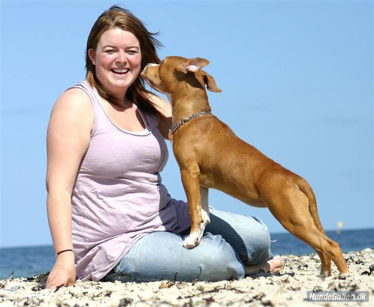 Amerikansk staffordshire terrier Great Vikings Angel Eye - Kysser min mor.. :) billede 6