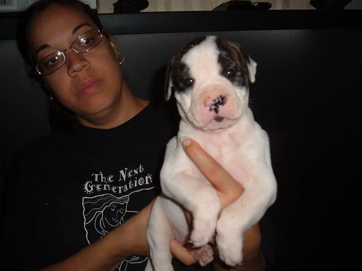 Blanding af racer Mills´ Madame Mayhem - 4,5 uger billede 8