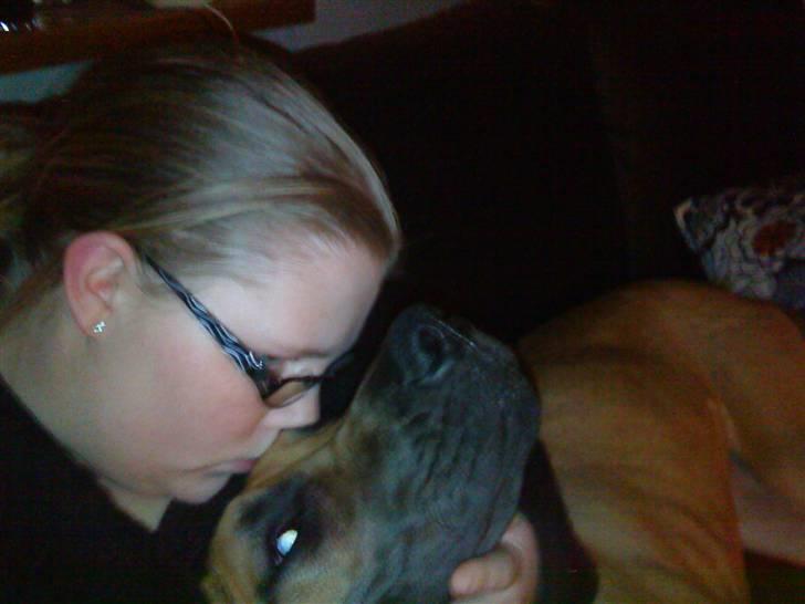 Grand danois Freja tøsen - Hygge <3 billede 15