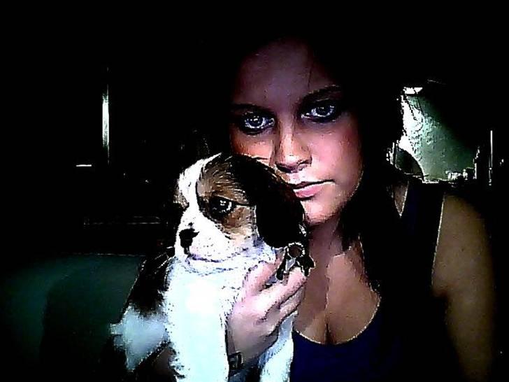 Blanding af racer Bailey billede 8