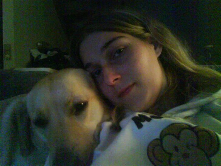 Labrador retriever trille billede 11