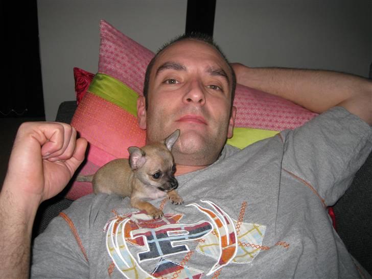 Chihuahua Chicka - Hygge med min far;o) billede 6