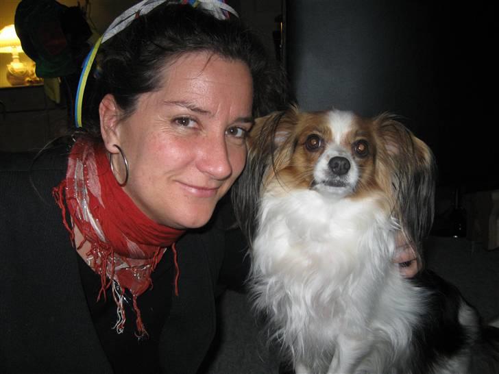 Phalene ofelia - Det er min mor billede 9