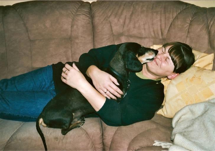 Gravhund Bølle  R.I.P. billede 19