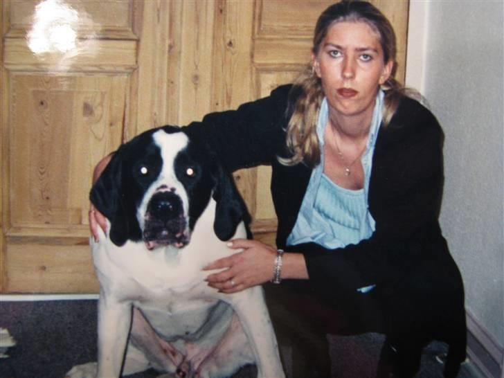 Blanding af racer R.I.P. *Balto* - Mor med lillemanden på 80 kg... billede 12