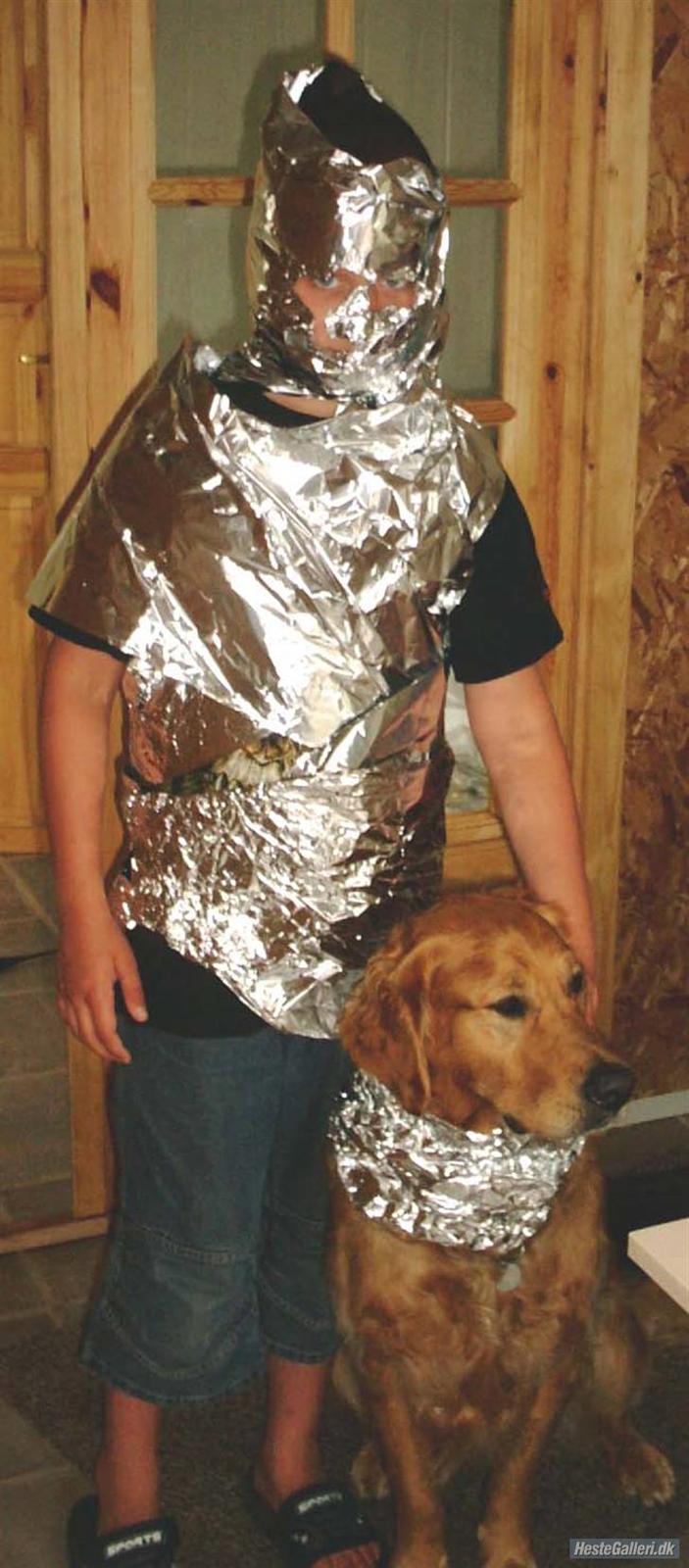 Golden retriever Balto - Vi legede astronaut og rumhund. billede 8