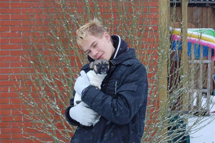 Blanding af racer Trixie <3 SOLGT :') billede 3