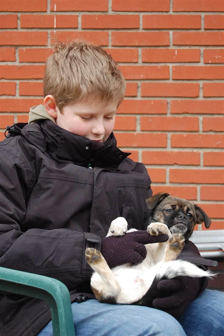 Blanding af racer Cassie <3 billede 8