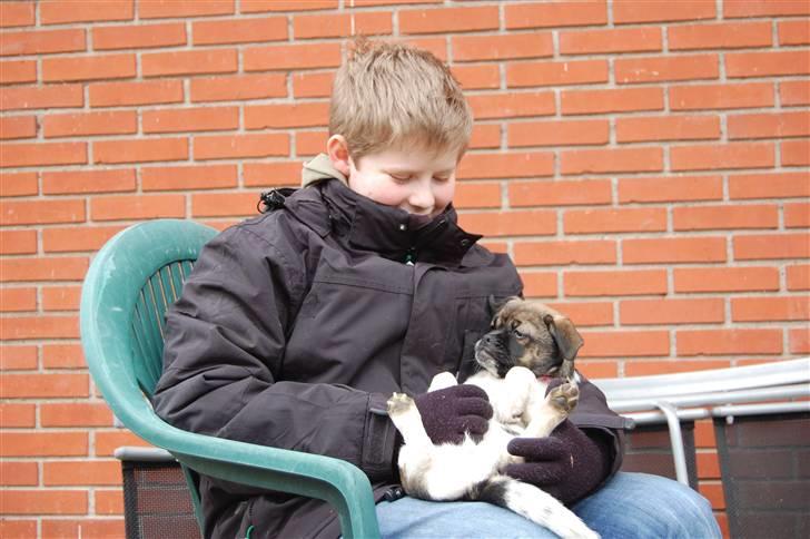 Blanding af racer Cassie <3 billede 10