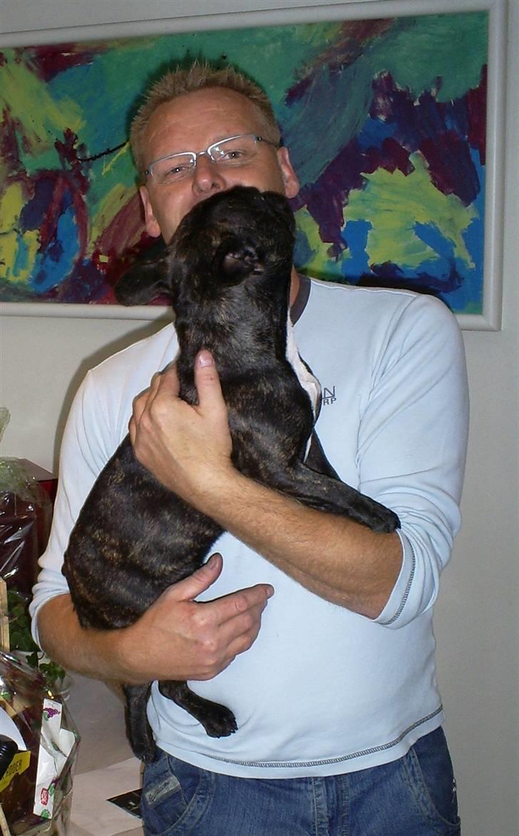 Fransk bulldog Nuser Schneider  - Far og mig billede 8