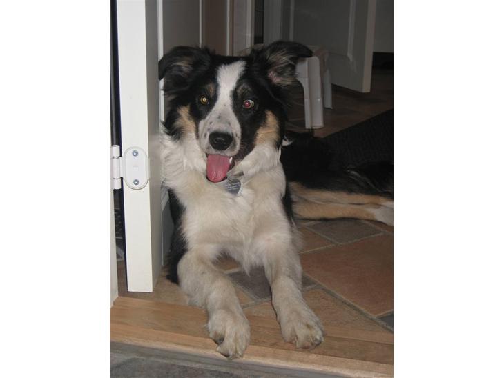 {{currentPhoto.altText}} billede {{currentPhoto.number}}