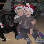 Blanding af racer Charlie