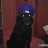 Blanding af racer Charlie