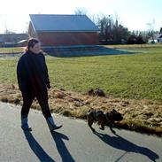 Fransk bulldog Ludwig *død* RIP