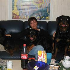 Rottweiler Kolshester's Ämir - R.I.P