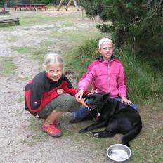 Sort spids Tjalfi
