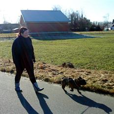 Fransk bulldog Ludwig *død* RIP