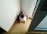 Mops Mops