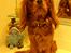 Cavalier king charles spaniel Cavalots Elvis