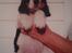 Cocker spaniel Barleys Tippe