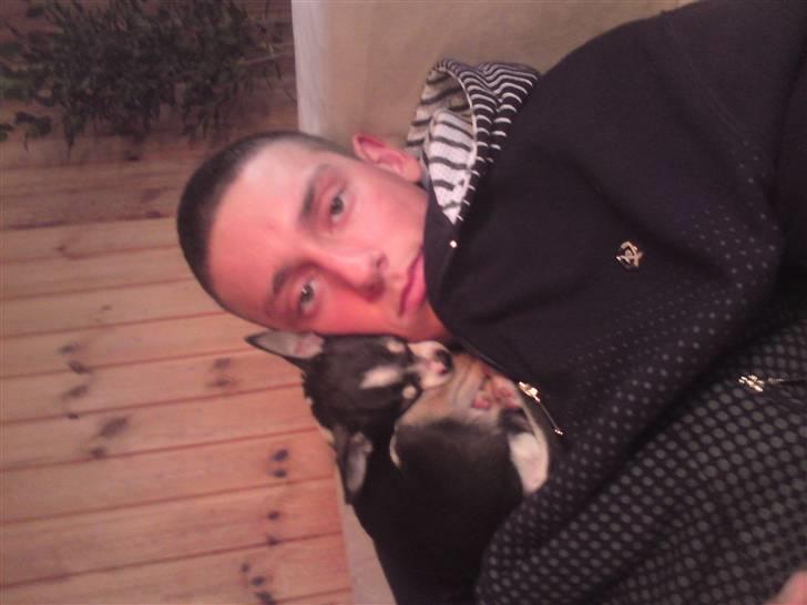 Chihuahua Batman - Mig og min far der hygger. :) billede 3