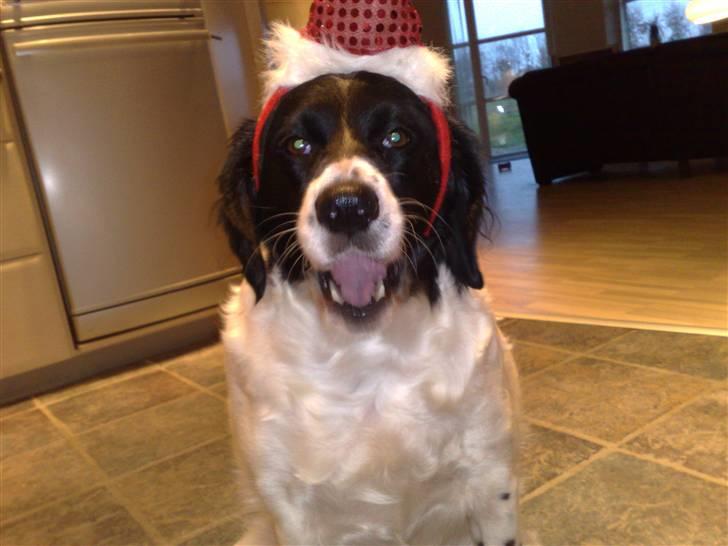 Blanding af racer Mille *En del af hjertet* billede 4