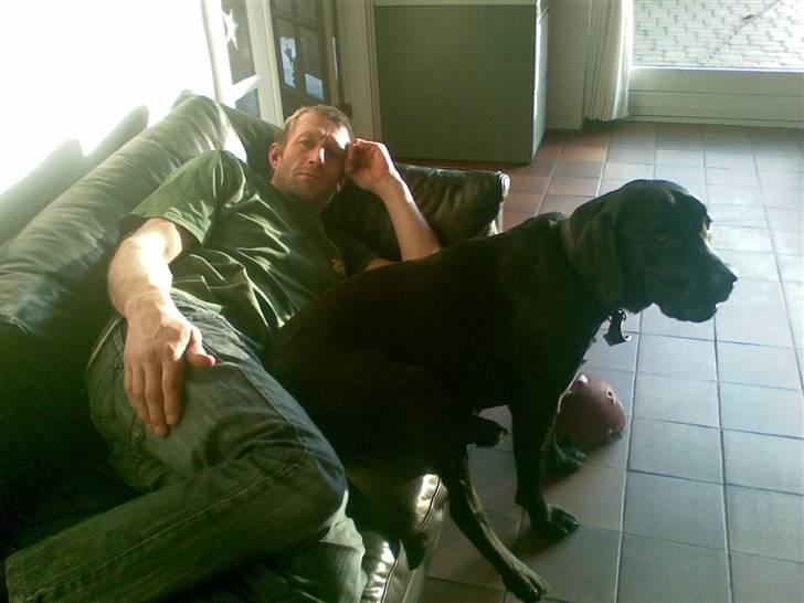 Labrador retriever Rolf - Dejligt lige at sidde ned efter gåtur hva far....? billede 12