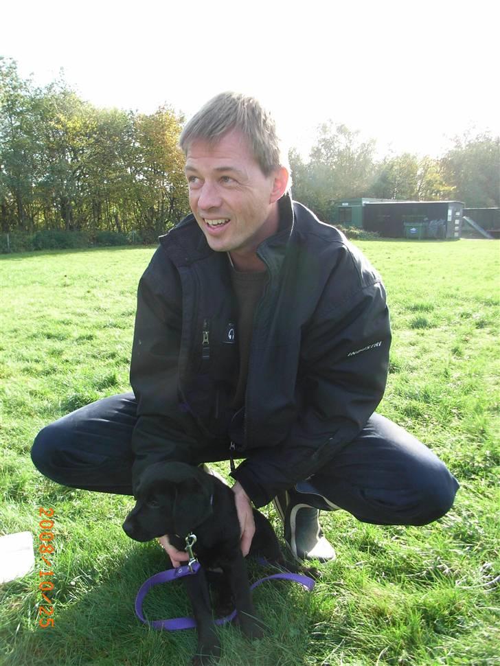 Labrador retriever Wilma <3 - Far og Wilma til hundetræning. billede 4