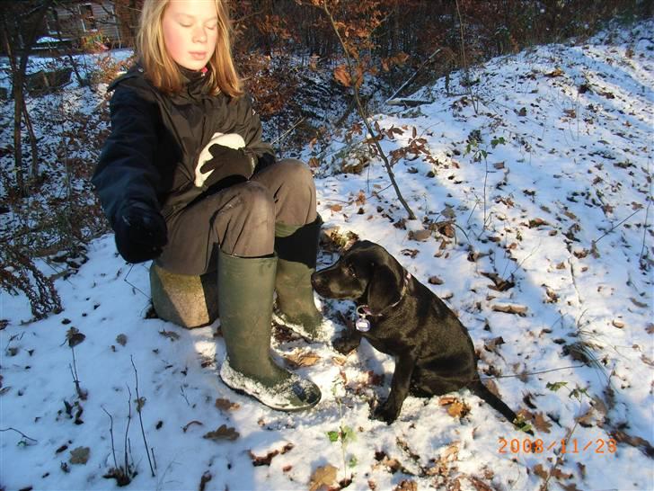 Labrador retriever Wilma <3 - Mig og Wilma i skoven. :D billede 7