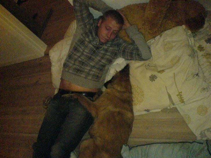 Tervueren Amanda billede 4