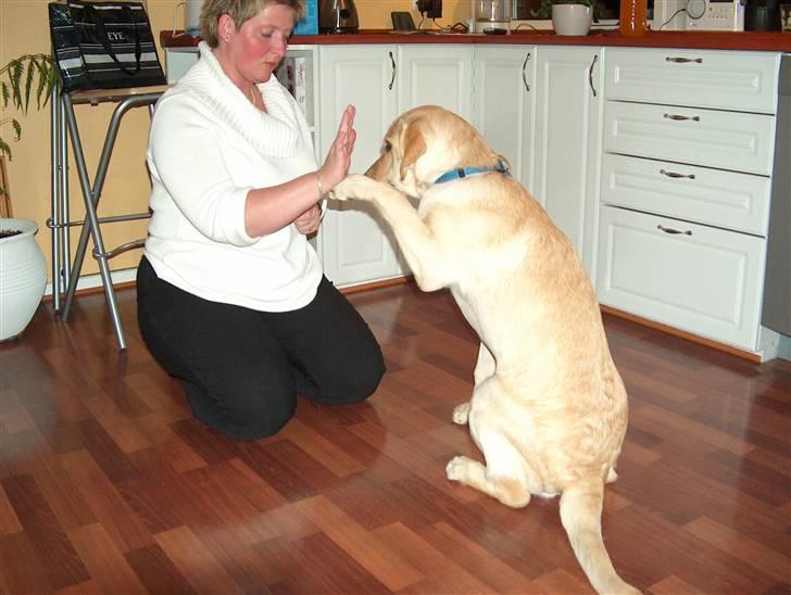 Blanding af racer Miki - High Five billede 7