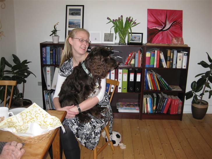 Blanding af racer Buster Larsen - Skødehund. 1 års fødselsdag. billede 3