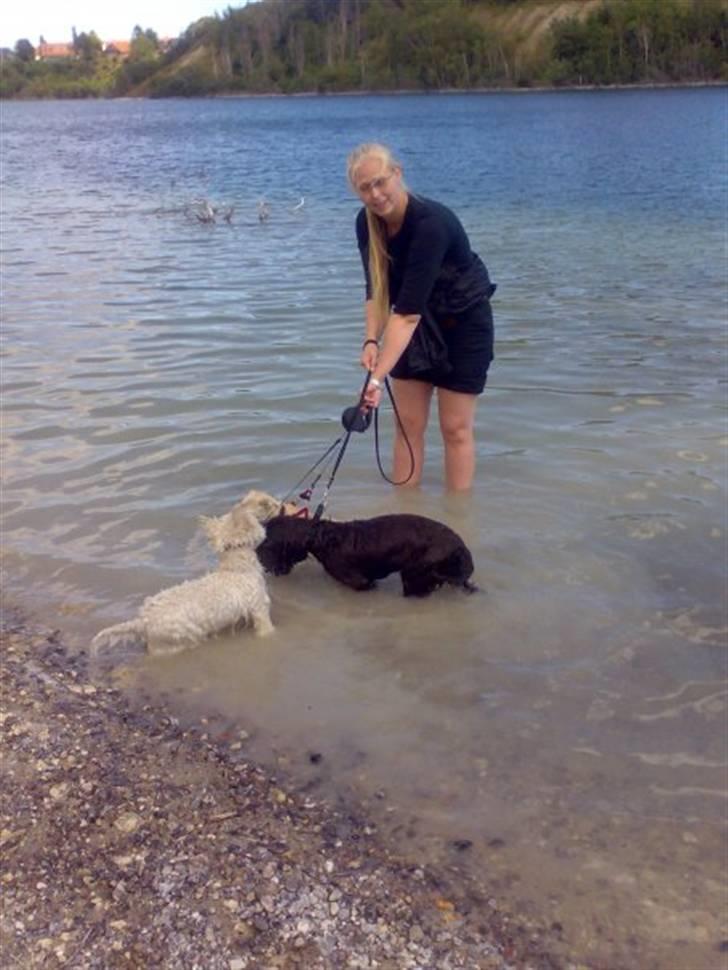 Blanding af racer Buster Larsen - En tur i kridtgraven sammen med Maggi og Sascha billede 5