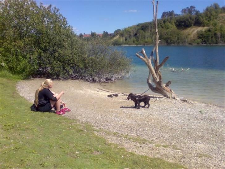 Blanding af racer Buster Larsen - Hvorfor skal jeg stå helt herovre og vente på at du får sko på? billede 6