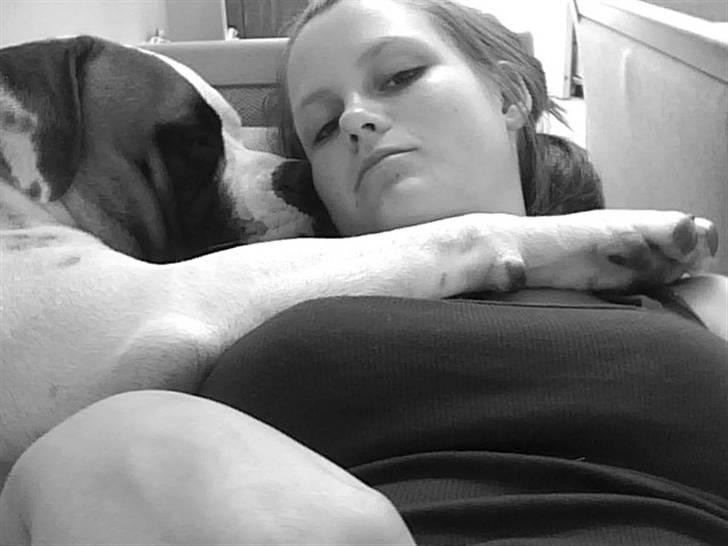 Amerikansk bulldog Hemi - rigtigt hygge : <3<3 billede 7