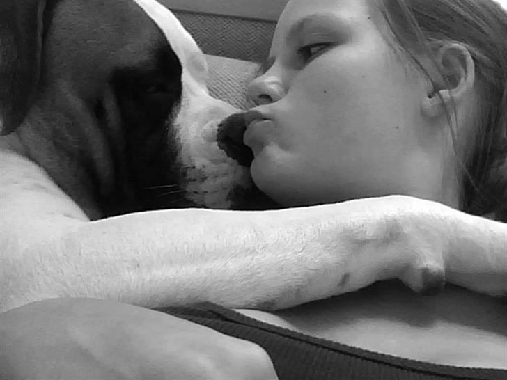 Amerikansk bulldog Hemi - når mor og mig hygger i sofaen :):)<3 billede 8