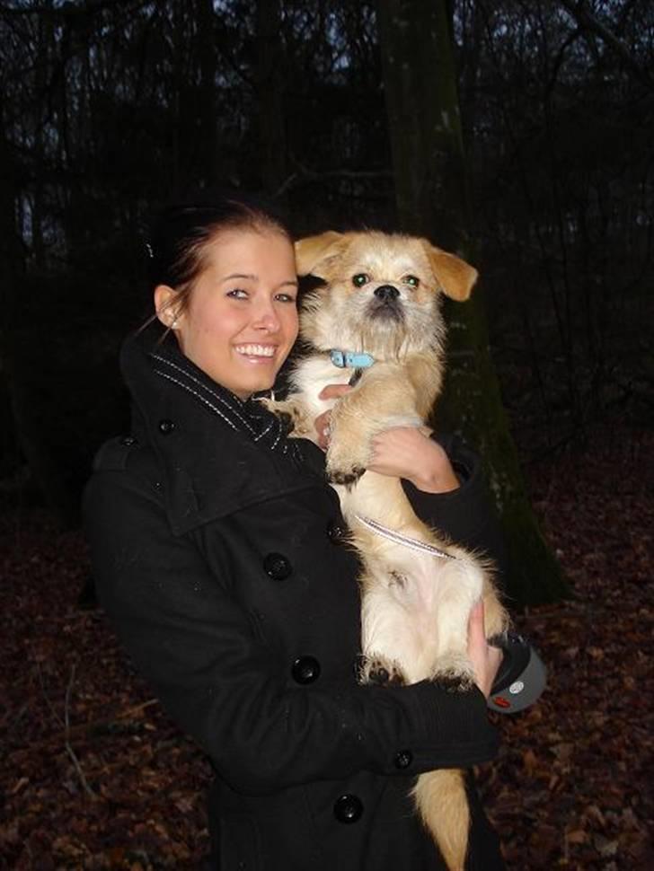 Blanding af racer Chicko <3 - 6 måneder gammel :)  billede 13